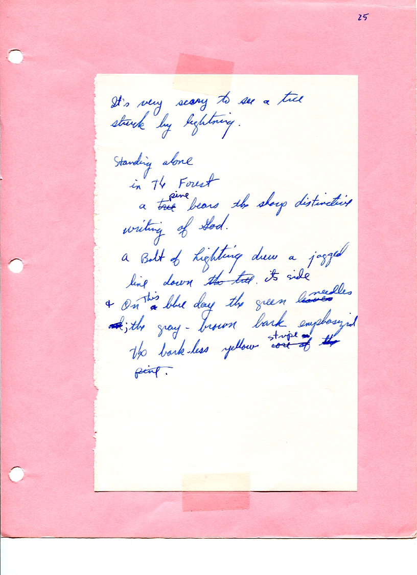 John WorldPeace Poems 1973 | World Peace Poems