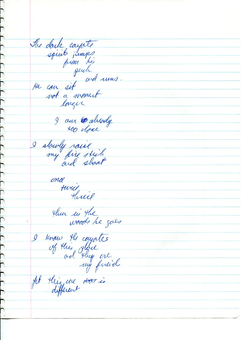 John WorldPeace Poems 1990 | World Peace Poems