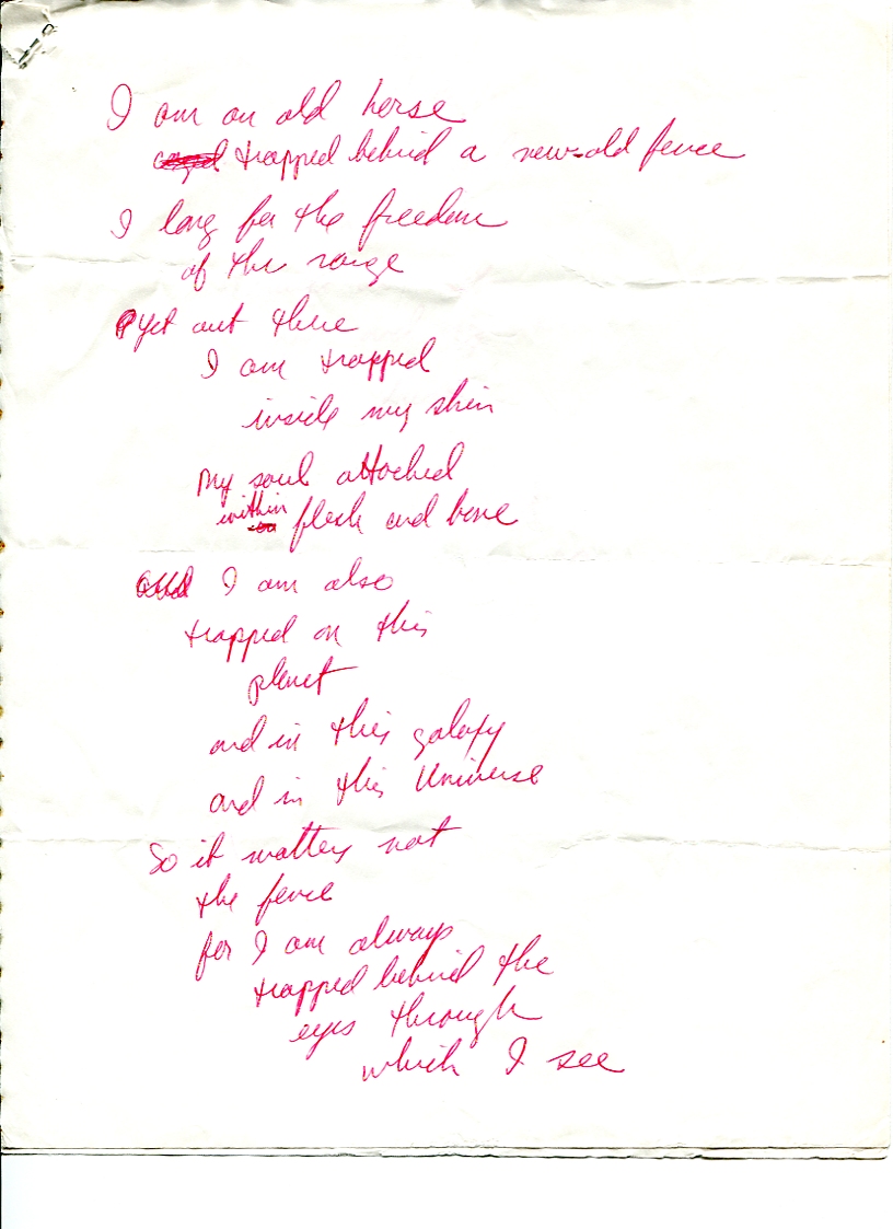 John WorldPeace Poems 1990 | World Peace Poems