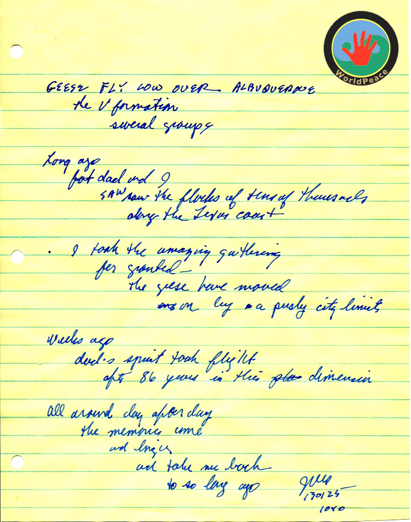 John WorldPeace Poems 2013