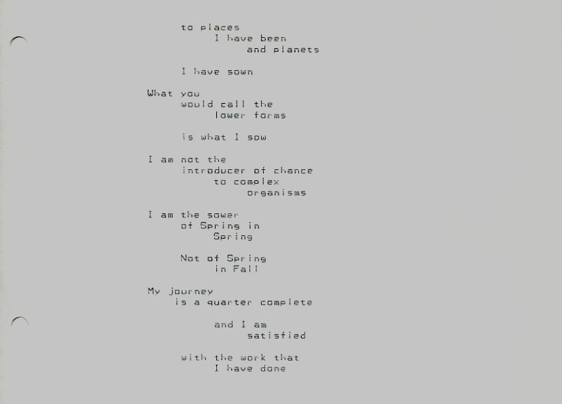 John WorldPeace Zen Petals