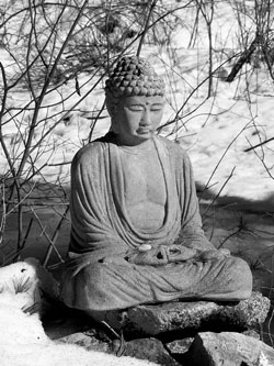 Buddha image13