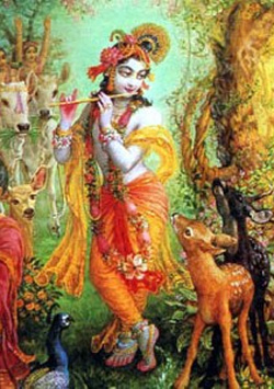 Krishna image024